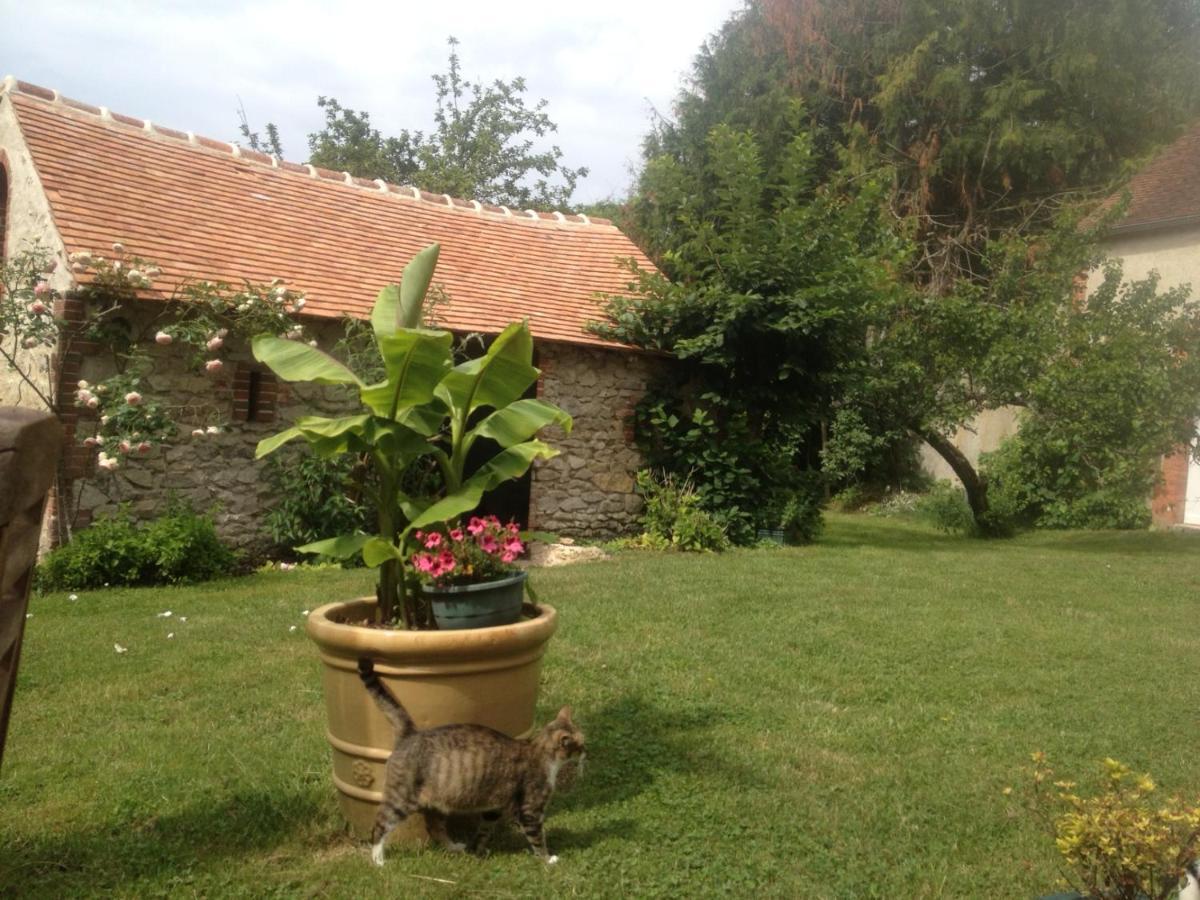 Moulin En Bord De Riviere - Logement Atypique Chevillon-sur-Huillard Luaran gambar