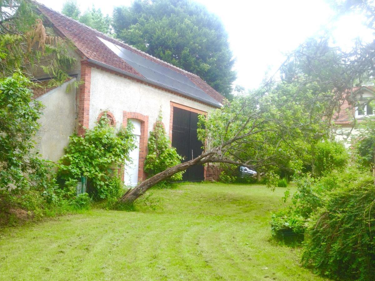 Moulin En Bord De Riviere - Logement Atypique Chevillon-sur-Huillard Luaran gambar