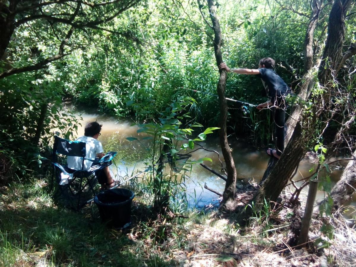 Moulin En Bord De Riviere - Logement Atypique Chevillon-sur-Huillard Luaran gambar