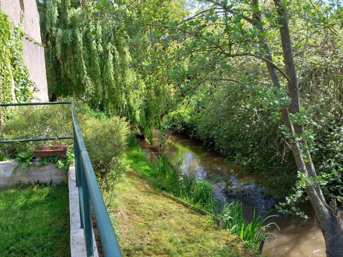 Moulin En Bord De Riviere - Logement Atypique Chevillon-sur-Huillard Luaran gambar