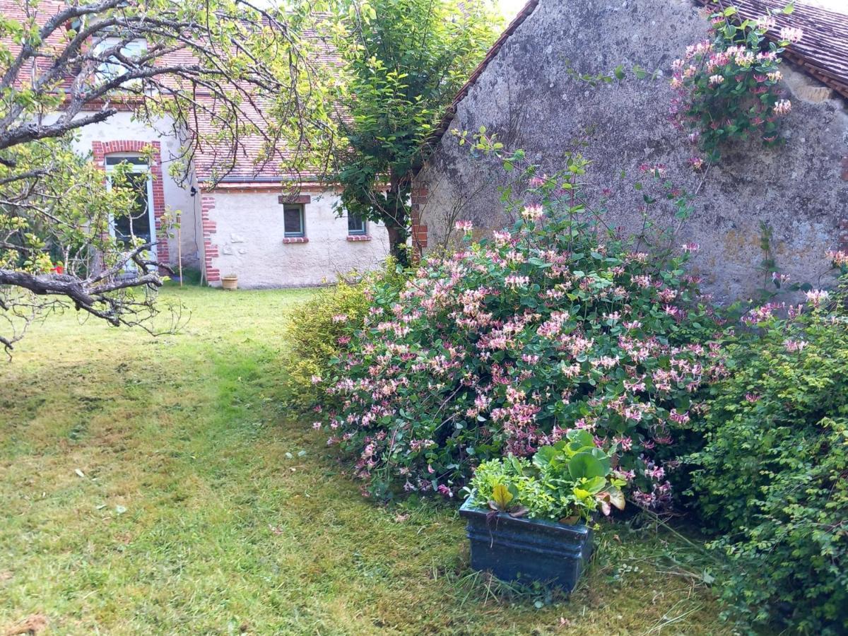 Moulin En Bord De Riviere - Logement Atypique Chevillon-sur-Huillard Luaran gambar